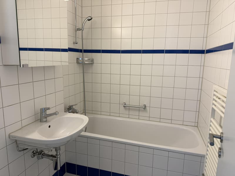 Appartamento di 2,5 locali a Biel/Bienne (8)
