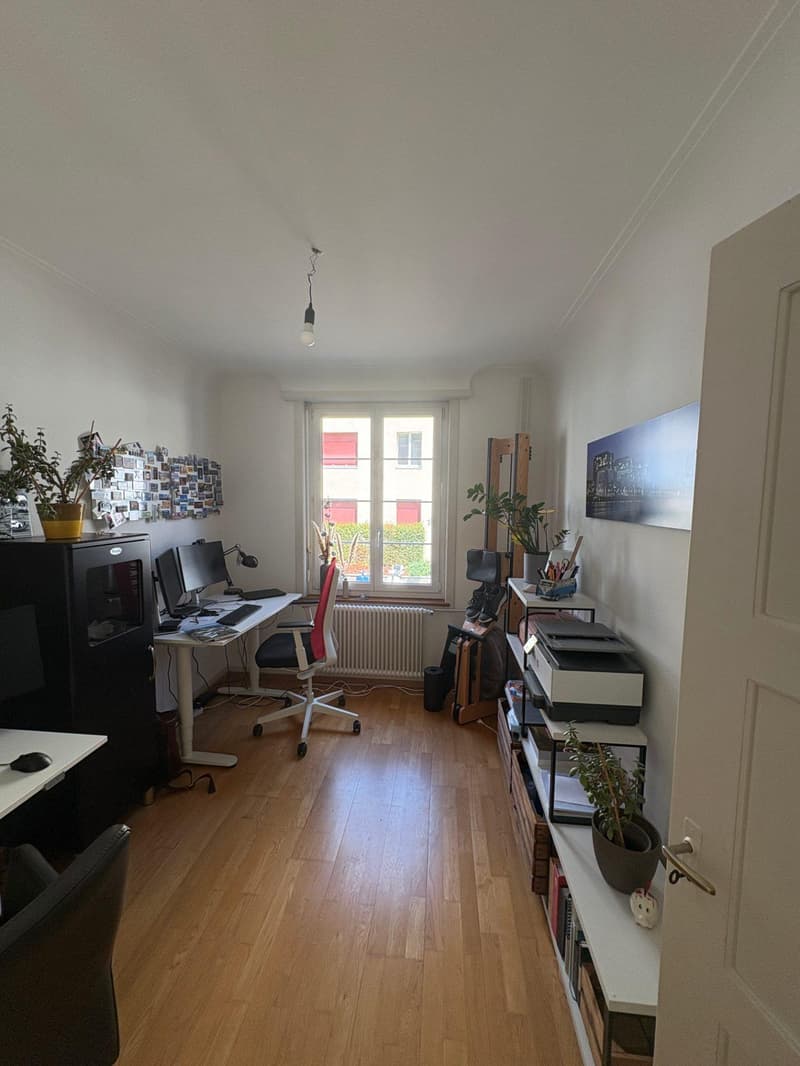 3.0 Zimmerwohnung in Basel (4)