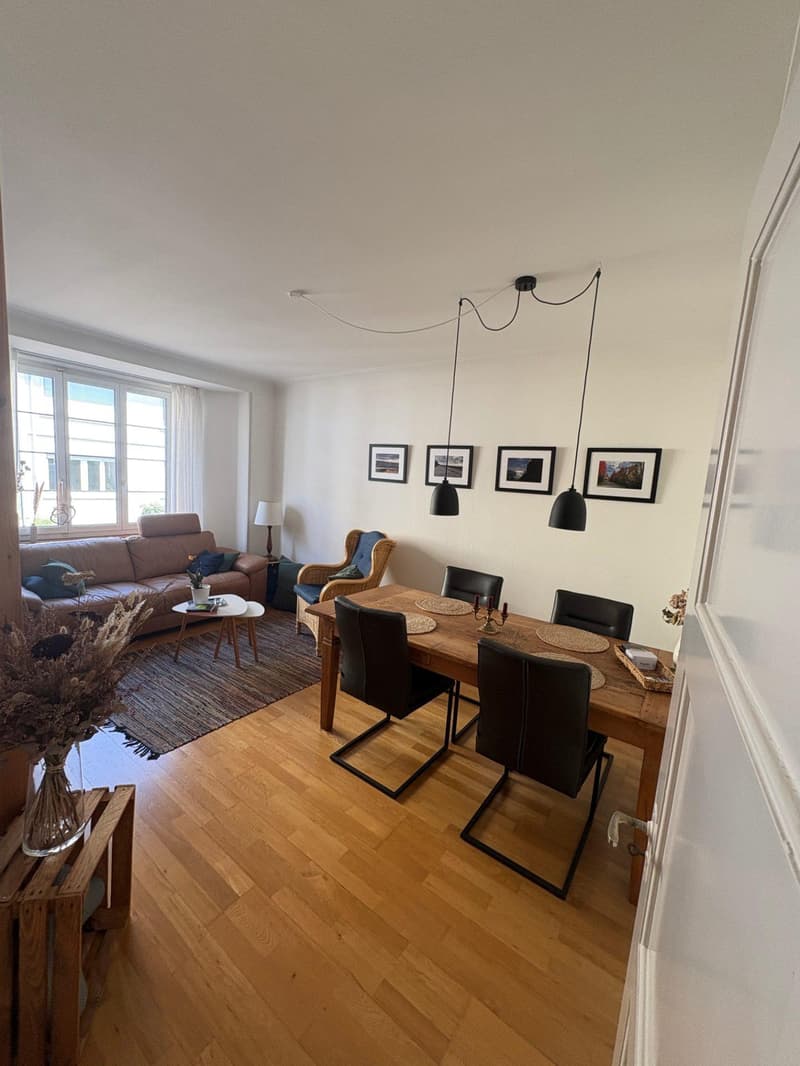 3.0 Zimmerwohnung in Basel (2)