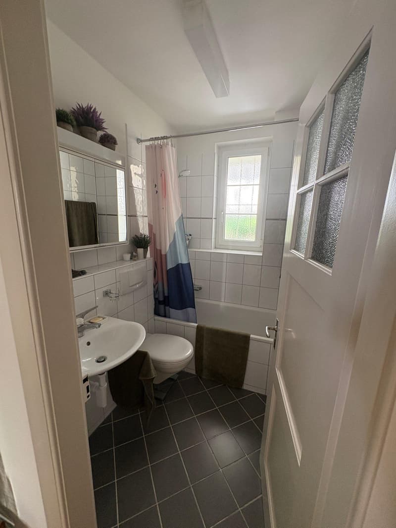 3.0 Zimmerwohnung in Basel (7)