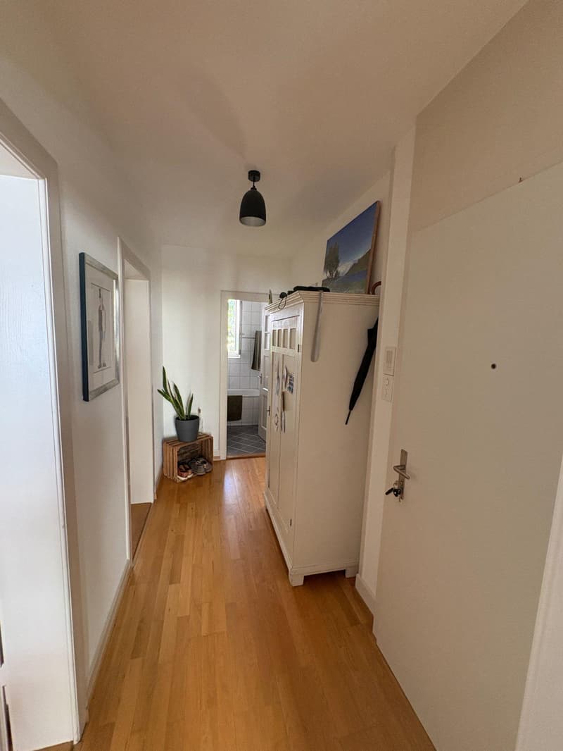 3.0 Zimmerwohnung in Basel (5)