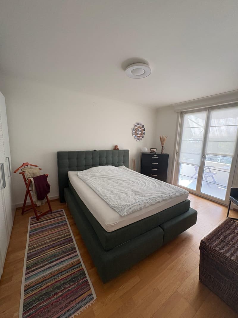 3.0 Zimmerwohnung in Basel (3)