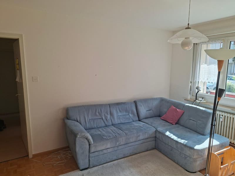 3.0 Zimmerwohnung in Riehen (1)