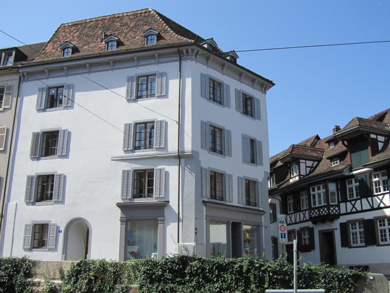 Charmante 3.0 Zimmerwohnung im Herzen von Basel (1)