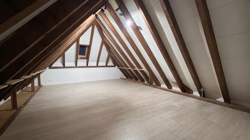 5.0 Zimmerwohnung in Schönenbuch (6)