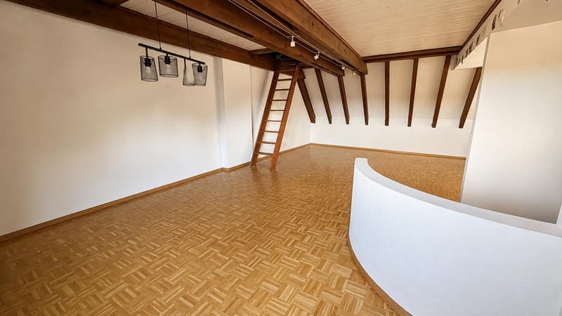 5.0 Zimmerwohnung in Schönenbuch (1)