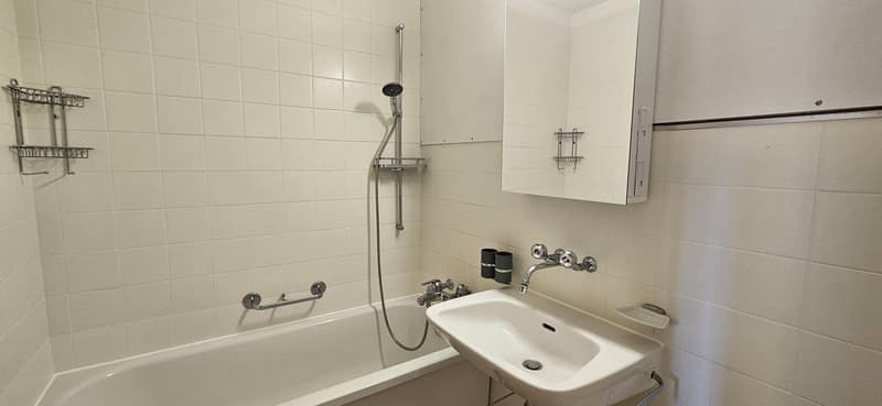 3.5 Zimmerwohnung in Aesch BL (8)