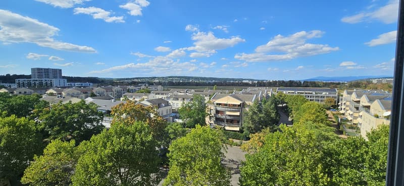 3.5 Zimmerwohnung in Aesch BL (11)