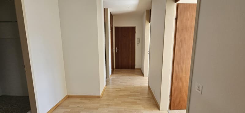 3.5 Zimmerwohnung in Aesch BL (3)
