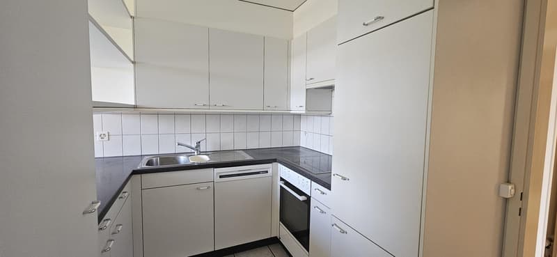 3.5 Zimmerwohnung in Aesch BL (12)