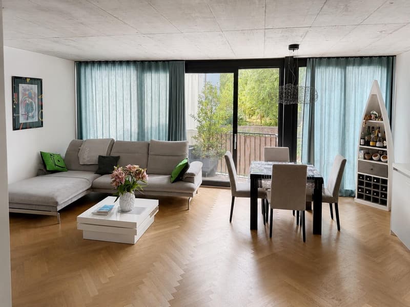 Moderne 3.5 Zimmerwohnung (1)