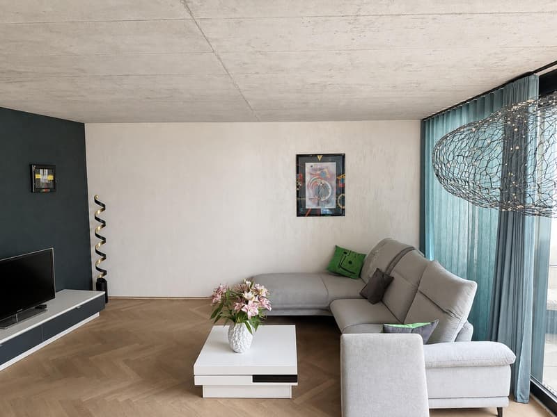 Moderne 3.5 Zimmerwohnung (2)