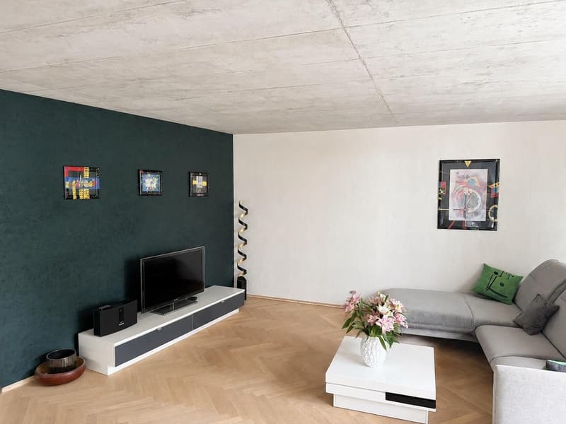 Moderne 3.5 Zimmerwohnung (9)