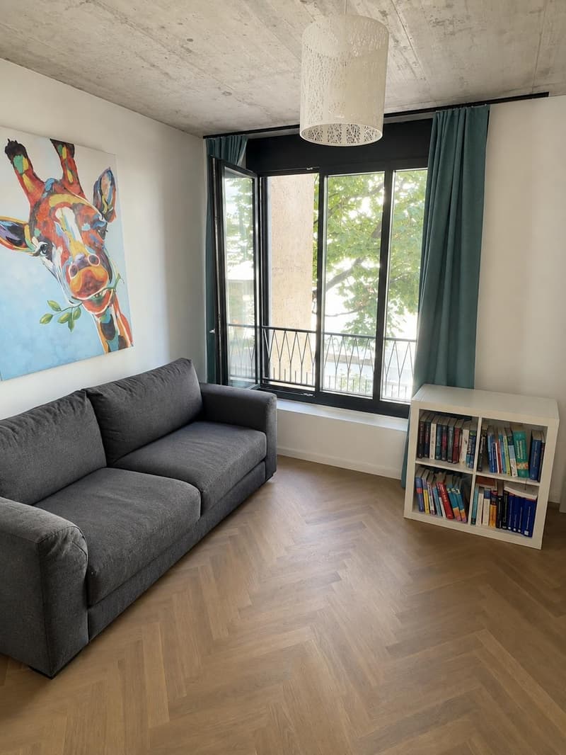 Moderne 3.5 Zimmerwohnung (10)