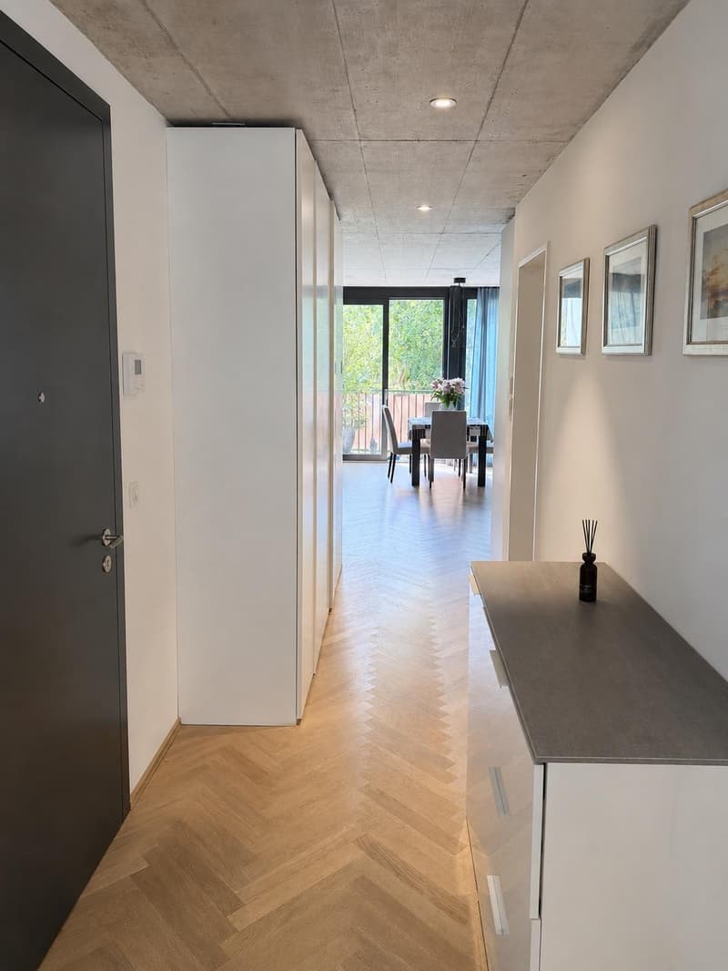 Moderne 3.5 Zimmerwohnung (6)