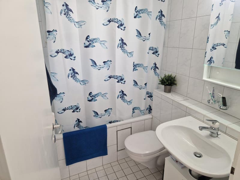 3.5 Zimmerwohnung in Muttenz (7)