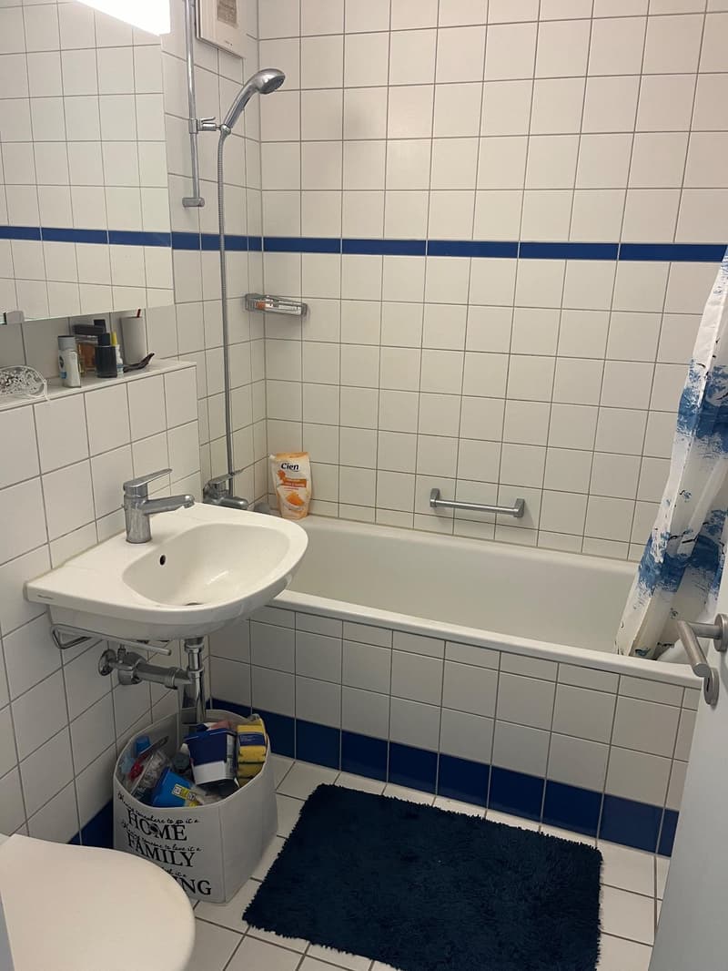 1.0 Zimmerwohnung in Biel/Bienne (4)