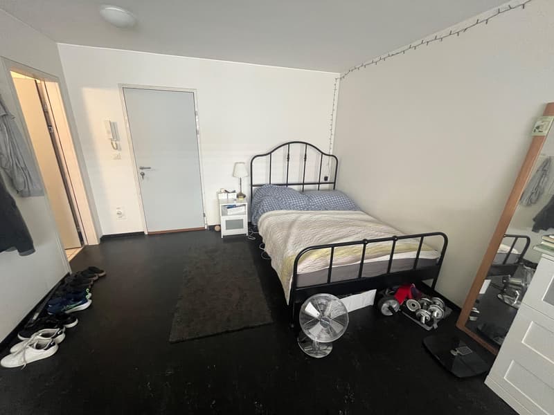 1.0 Zimmerwohnung in Biel/Bienne (1)