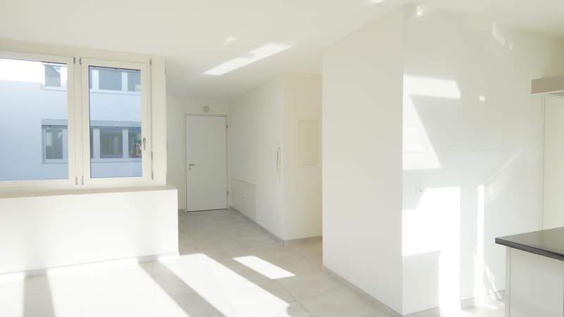 3.5 Zimmerwohnung in Oberwil BL (1)