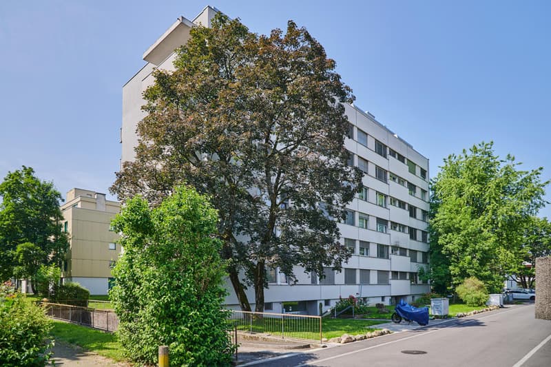 Grosszügig geschnittene Einstellhallenplätze (3)