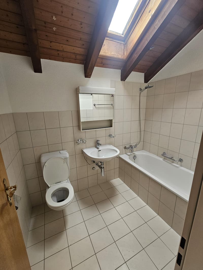 2.5 Zimmerwohnung in Reinach AG (11)
