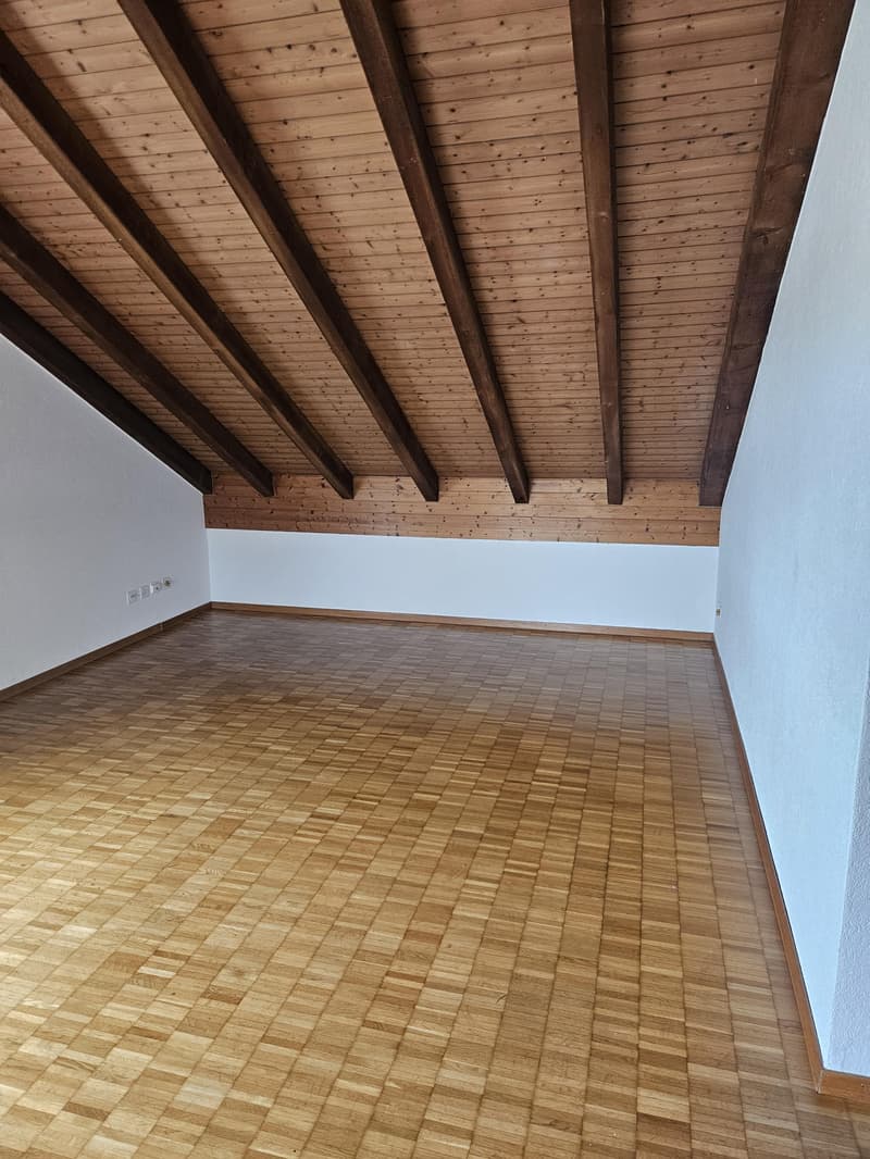 2.5 Zimmerwohnung in Reinach AG (3)