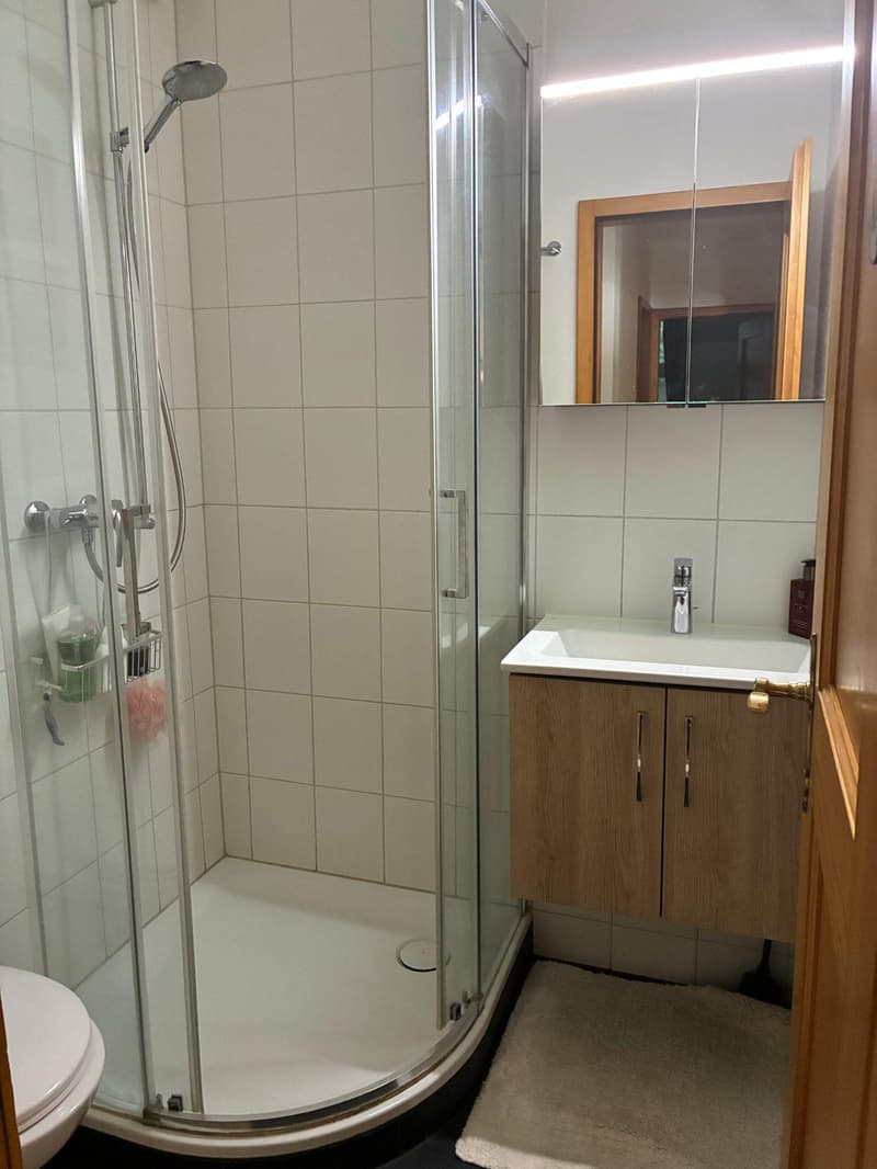 Charmante 3.5-Zimmer-Wohnung mit Balkon am Andreasplatz in Basel (7)