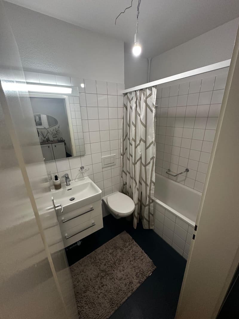 Attraktive 2-Zimmerwohnung in Basel (7)