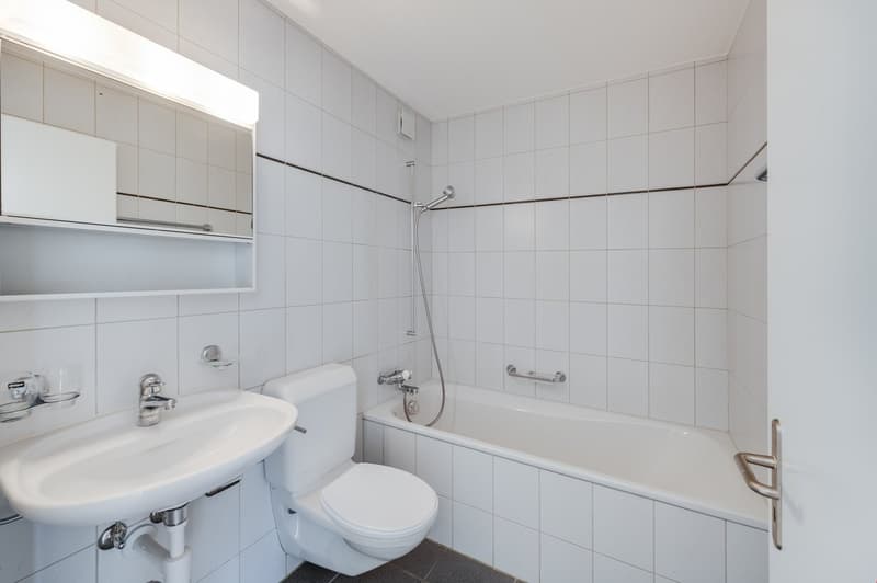 Grosse 3.5-Zimmer-Wohnung (11)