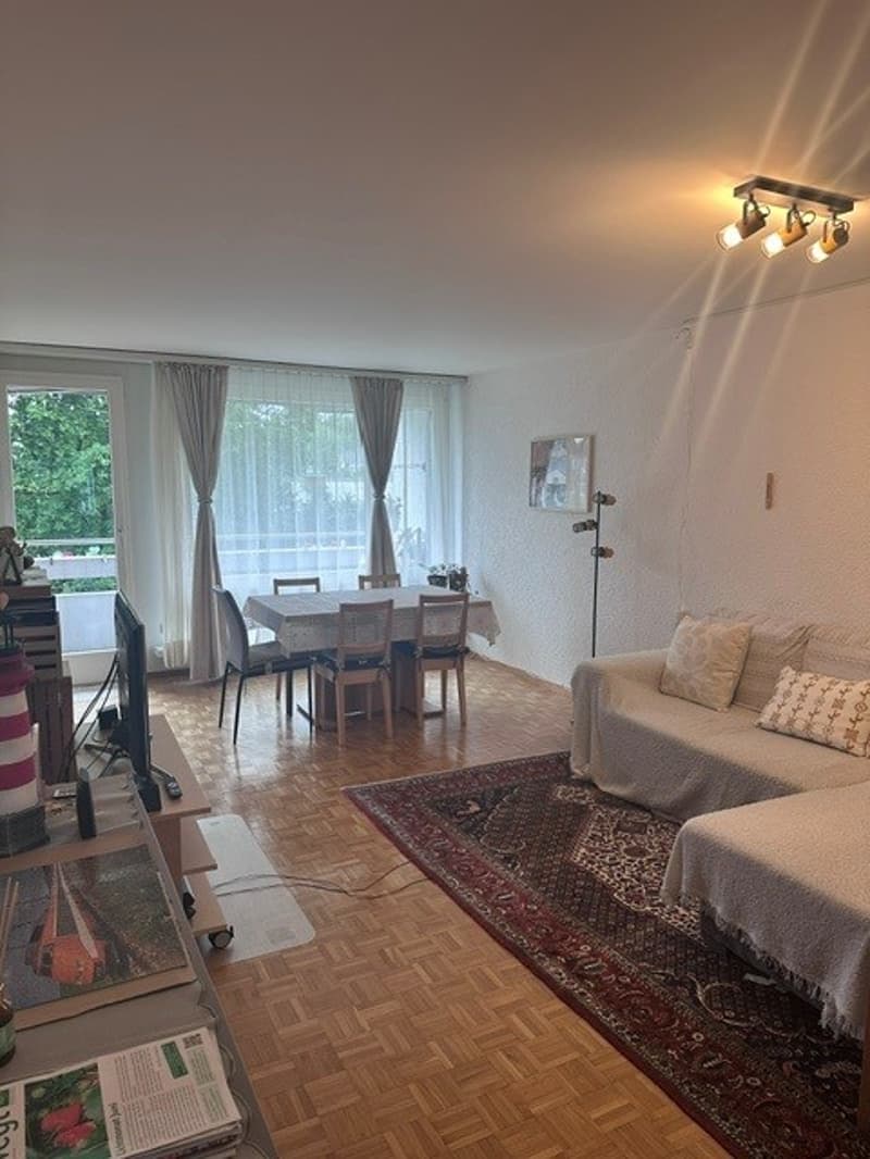 Appartamento di 3 camere in una zona tranquilla (7)