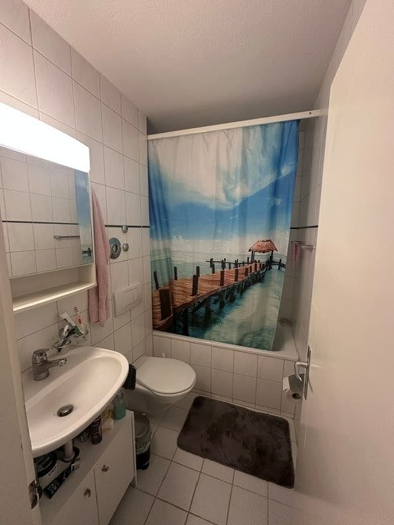 Appartamento di 3 camere in una zona tranquilla (8)
