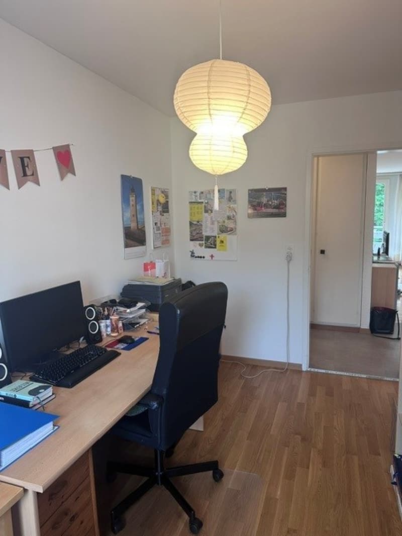 Appartamento di 3 camere in una zona tranquilla (10)