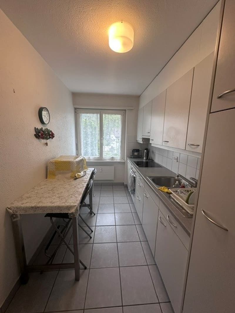 Appartamento di 3 camere in una zona tranquilla (4)