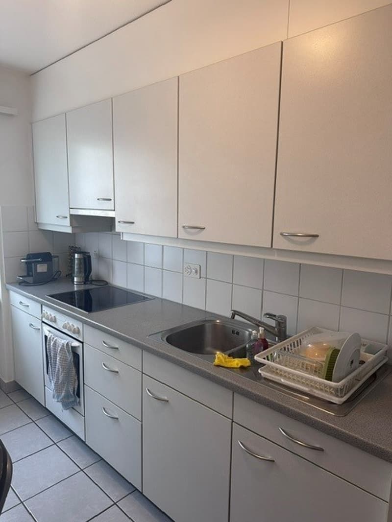 Appartamento di 3 camere in una zona tranquilla (2)