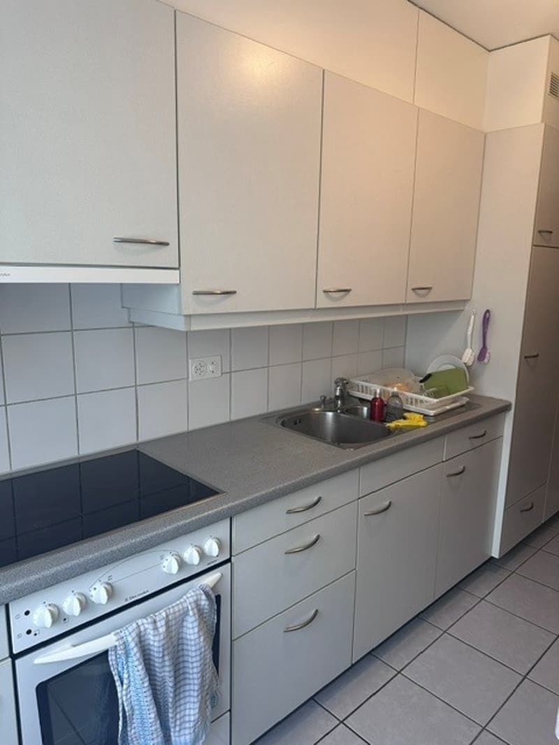 Appartamento di 3 camere in una zona tranquilla (3)