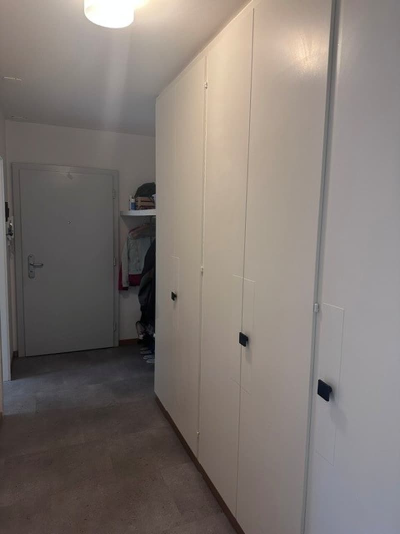Appartamento di 3 camere in una zona tranquilla (12)