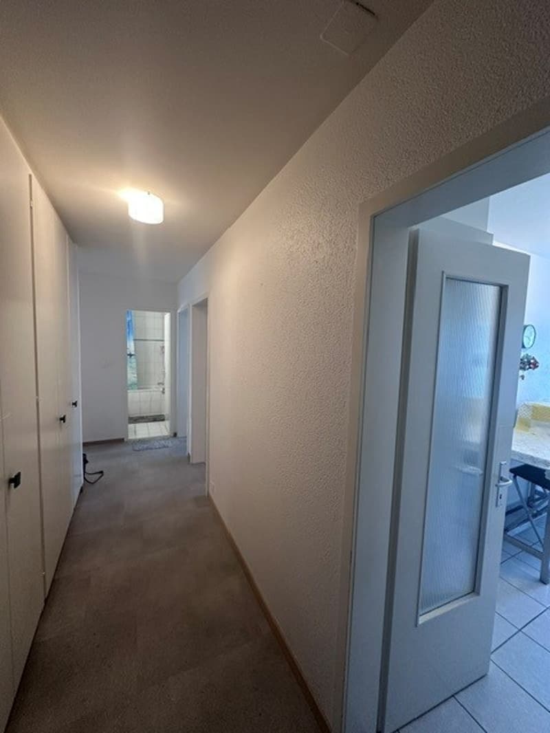 Appartamento di 3 camere in una zona tranquilla (11)