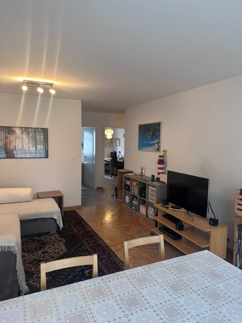 Appartamento di 3 camere in una zona tranquilla (5)