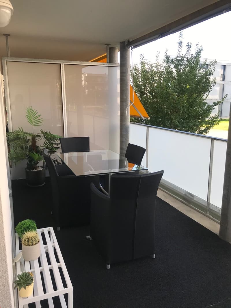 Bello appartamento 4.5 locali (7)