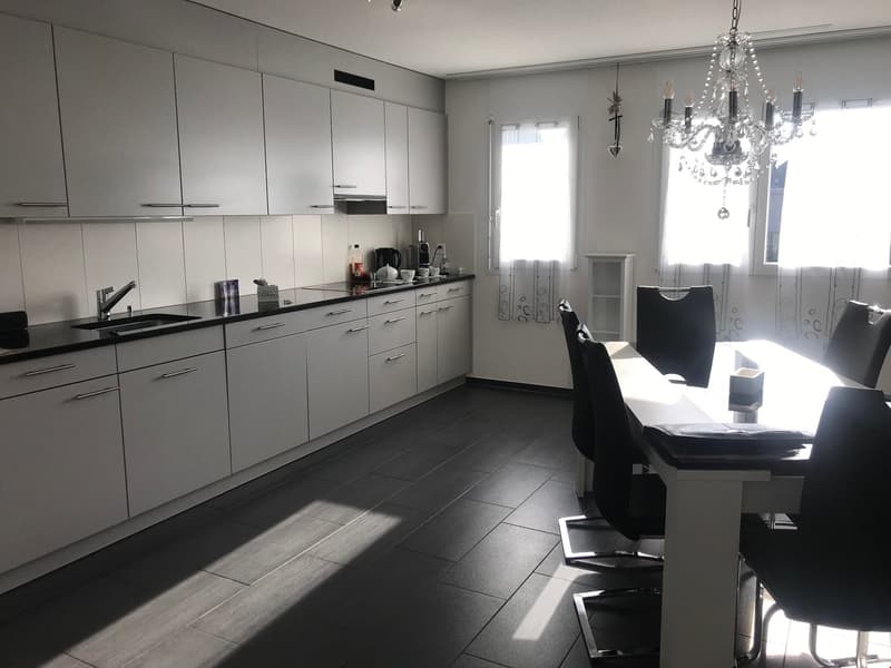 Bello appartamento 4.5 locali (2)