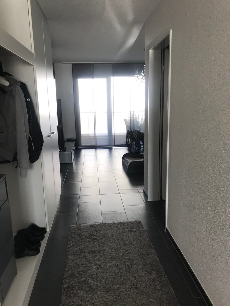 Bello appartamento 4.5 locali (3)