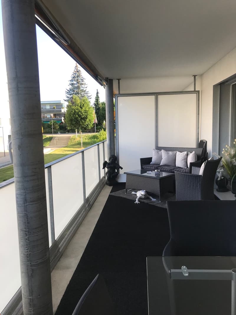 Bello appartamento 4.5 locali (8)