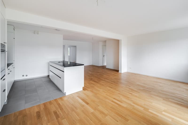 Appartamento di 4.5 locali con ampio spazio di giardino (3)