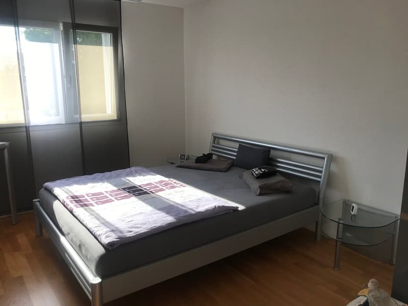 Schöne 3.5-Zimmerwohnung (6)