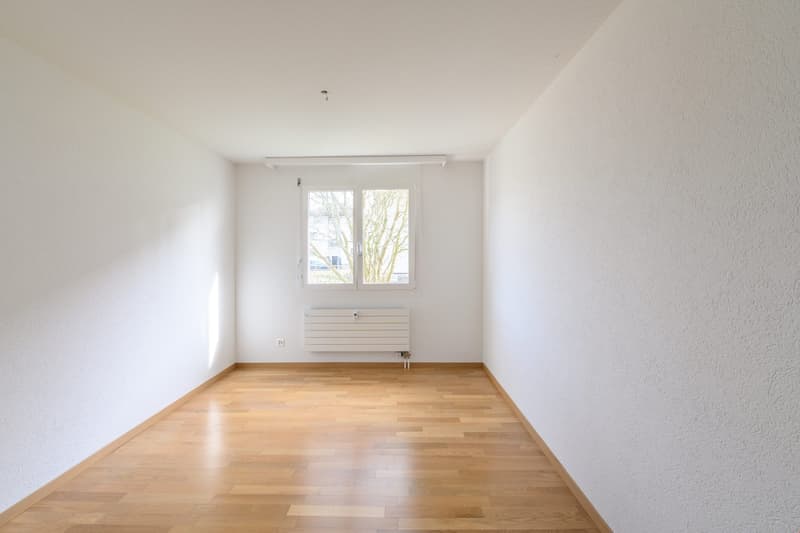Bel appartement 4.5 pièces à louer (10)