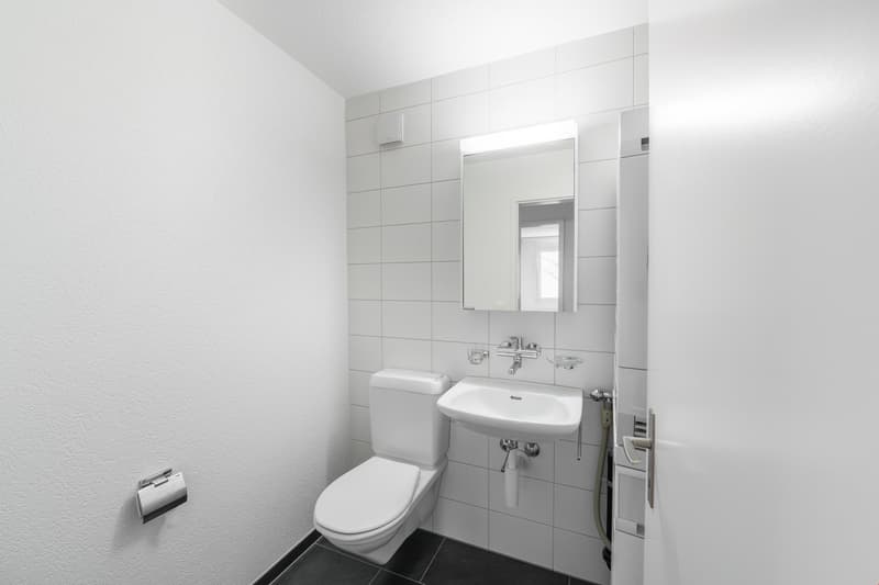 Bel appartement 4.5 pièces à louer (6)