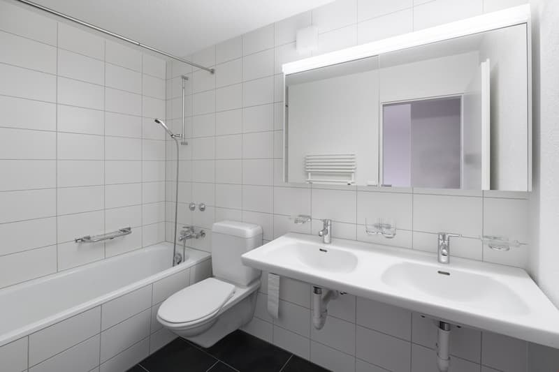Bel appartement 4.5 pièces à louer (5)
