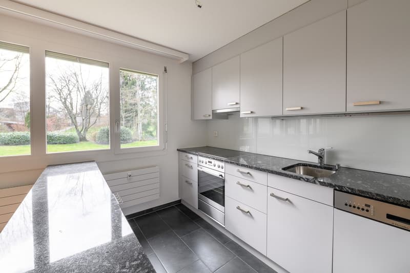 Bel appartement 4.5 pièces à louer (4)