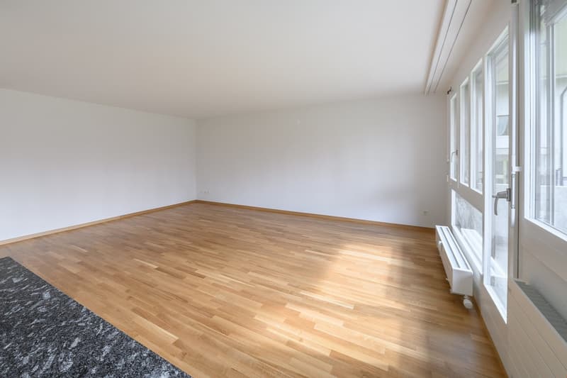 Bel appartement 4.5 pièces à louer (2)