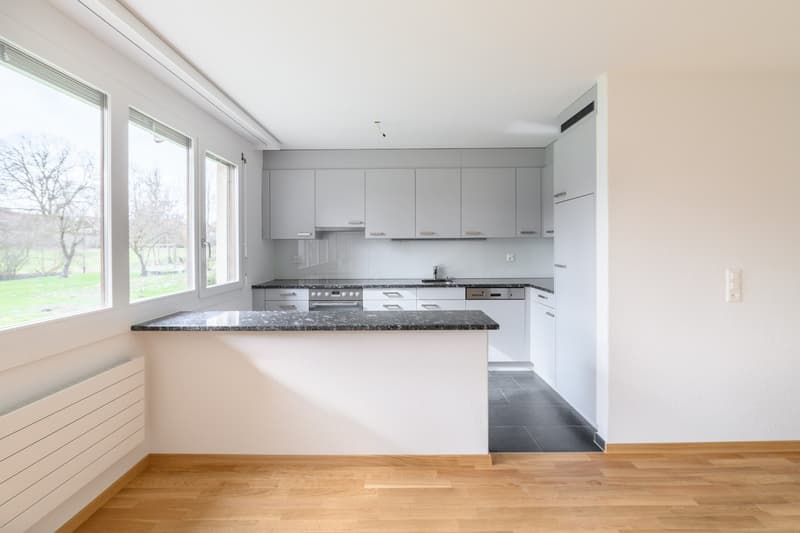 Bel appartement 4.5 pièces à louer (3)